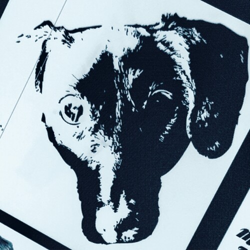 Michael orchestra denial - orchestra,